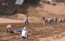 Trung Quốc biến sa mạc thành “mỏ vàng” du lịch