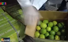 UAE - Thị trường lớn cho rau quả của Việt Nam