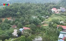 Nhiều diện tích đất có sổ đỏ ở Hà Nội biến thành đất rừng