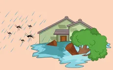 Infographic: Ứng phó với muỗi và côn trùng sinh sôi sau mưa lũ