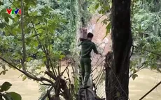 Công an, dân quân băng rừng, cõng lương thực tiếp tế cho người dân vùng sạt lở Đà Nẵng