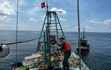 Liên tục phát hiện, xử lý nhiều tàu cá vi phạm quy định khai thác thủy sản