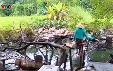 Nhiều ao, hồ, dự án khu sinh thái ở Hà Nội bị bỏ hoang, người dân tận dụng nuôi gà