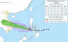 Các tỉnh từ Hà Tĩnh đến Lâm Đồng khẩn trương triển khai ứng phó với bão Kalmaegi