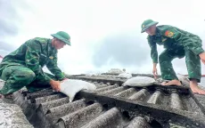 Bộ Tổng Tham mưu yêu cầu chuẩn bị sẵn sàng lực lượng, phương tiện ứng phó bão số 13