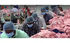 Doanh nghiệp Ấn Độ kêu gọi Chính phủ hỗ trợ trước áp lực thuế quan