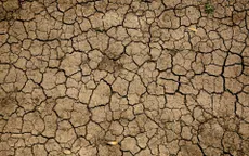 Hạn hán nghiêm trọng tại Athens, Hy Lạp