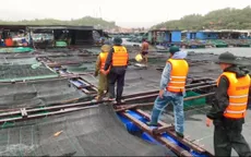 Nha Trang cưỡng chế đưa người trên lồng bè Trí Nguyên vào bờ tránh bão