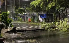 Những hình ảnh thiệt hại trong tâm bão số 13 tại Gia Lai, Đắk Lắk