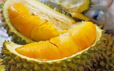 Minh bạch truy xuất nguồn gốc giữ thị trường xuất khẩu