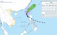 Bão số 14 giữ nguyên cường độ, hướng về phía Đài Loan (Trung Quốc)