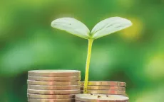 Tín dụng xanh và dòng vốn ngoại: Cơ hội cho thị trường Việt Nam