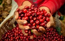 Tổng thống Mỹ cam kết hạ thuế nhập khẩu cà phê nhằm kiềm chế giá tăng