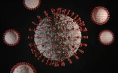 Ethiopia điều tra khả năng bùng phát sốt xuất huyết do virus mới