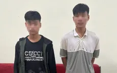 Bắt 2 đối tượng gây ra 8 vụ trộm cắp trong đền, chùa