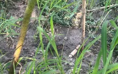 Giăng bẫy chuột bằng điện khiến hàng xóm tử vong