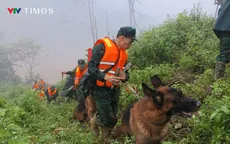 Vụ sạt lở ở Đà Nẵng: Chó nghiệp vụ được huy động tìm kiếm nạn nhân mất tích