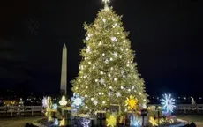 Thuế quan khiến giá cây thông Noel tại Mỹ đắt đỏ hơn