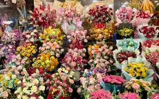 Thị trường hoa cho ngày 20/11 ghi nhận nhiều thay đổi
