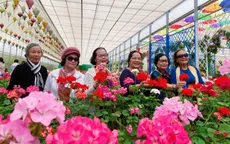 Nhiều tour Đà Lạt bị dời, hủy do lo ngại sạt lở