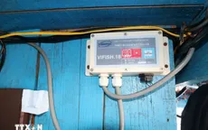 Không ghi nhật ký khai thác thủy sản tàu cá bị phạt tới 700 triệu đồng