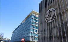 WHO dự kiến cắt giảm 25% nhân sự