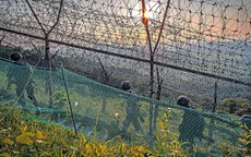 Nổ tại Khu phi quân sự ở biên giới liên Triều, binh sĩ Hàn Quốc bị thương