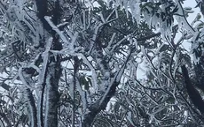 Nhiệt độ xuống dưới 0°C, đỉnh núi ở Lào Cai, Lai Châu xuất hiện băng giá