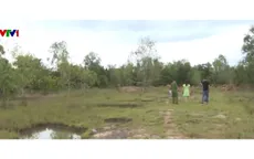 Lừa đảo mua, bán đất ở Đặc khu Phú Quốc