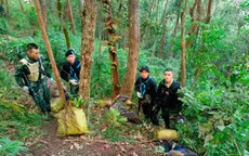 Thái Lan đẩy mạnh ngăn chặn ma túy dọc biên giới