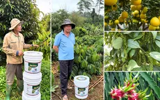 Đạm Cá DS - Hành trình trở thành thương hiệu đạm cá được nhiều bà con trên cả nước tin dùng