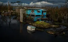 Jamaica thông báo bùng phát dịch vi khuẩn chết người leptospirosis sau bão Melissa 