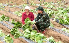 Mưa lũ tại Lâm Đồng làm 5 người chết, thiệt hại hơn 1.000 tỷ đồng