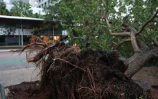 Bão Fina mang theo mưa to gió lớn, tàn phá phía Bắc Australia