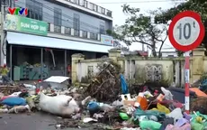 Xác lợn, gà nằm ngổn ngang sau lũ, Đắk Lắk khẩn trương xử lý môi trường