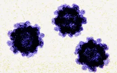 Số ca nhiễm Norovirus ở Mỹ tăng gấp 2 lần