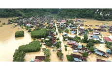 Cộng đồng quốc tế đã hỗ trợ Việt Nam gần 16 triệu USD khắc phục hậu quả bão lũ