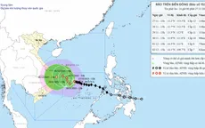 Bão số 15 giữ nguyên cường độ, từ 28/11 vùng biển ngoài khơi Gia Lai đên Khánh Hòa gió giật cấp 9-10
