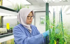 Các nhà khoa học hàng đầu thế giới hiến kế nuôi sống 10 tỷ người tại Tuần lễ Khoa học Công nghệ VinFuture 2025