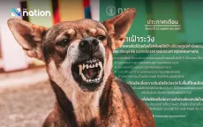 Thủ đô Bangkok (Thái Lan) công bố khu vực kiểm soát bệnh dại