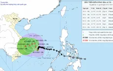 Bão số 15 giảm 1 cấp, áp sát bờ biển Gia Lai vào sáng 1/12