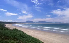 Du khách tử vong do cá mập tấn công tại bờ biển Australia