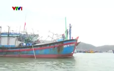 Gia Lai: Đảm bảo an toàn cho tàu thuyền trước bão số 15