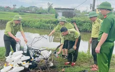 Nghệ An: Đẩy mạnh tuyên truyền, xử lý vi phạm săn bắt chim trời