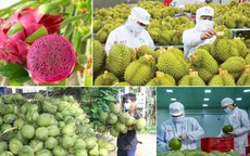 Xuất khẩu rau quả lập kỷ lục gần 8 tỷ USD