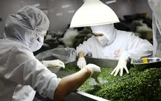 Chế biến sâu: "Chìa khóa vàng" mở lối tăng trưởng tỉ đô cho nông sản Việt