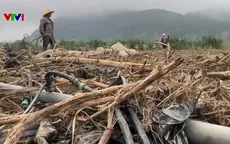 Lũ cuốn trôi đất sản xuất ở vùng rau lớn nhất nước