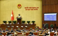 Thông tin lý lịch tư pháp trên VNeID có giá trị như phiếu lý lịch tư pháp