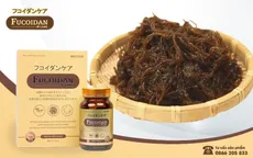 Fucoidan Care – Giải pháp hỗ trợ tăng cường miễn dịch bồi bổ cơ thể