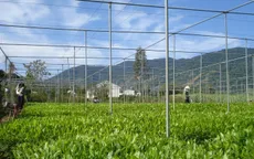 Nông nghiệp Việt Nam kiên định mục tiêu tăng trưởng 4%